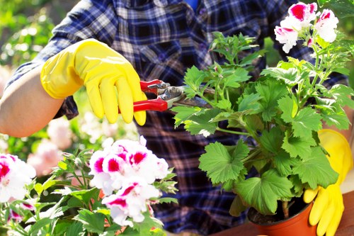 Transparent pricing and quote options for gardening work in Tottenham Green
