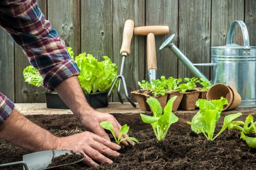 Illustration representing marketing cookies on a gardening website