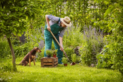 Gardeners Tottenham Green creating a neat and welcoming outdoor space