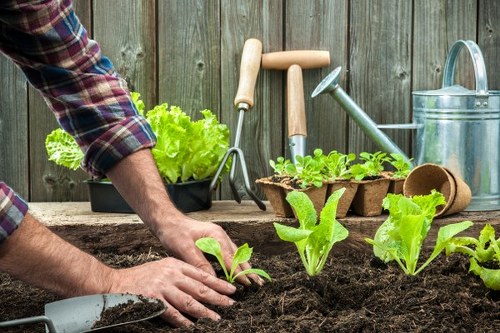 Gardener carrying out safe outdoor work with protective equipment