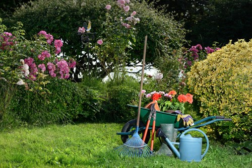 Lawn care and seasonal garden maintenance in Tottenham Green