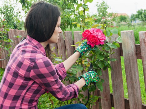 Outdoor garden planning and planting in Tottenham Green