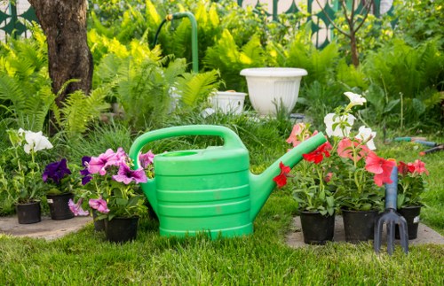 About Us Gardeners Tottenham Green presenting a cared-for and balanced garden