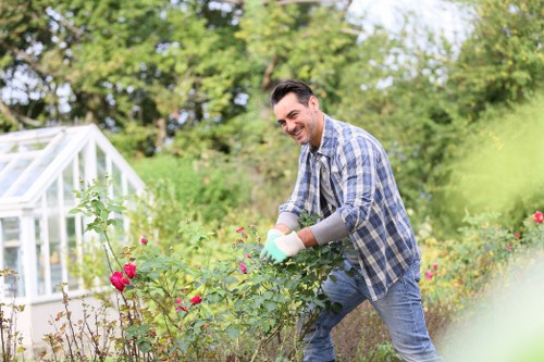 Regular hedge cutting improving a Tottenham Green property