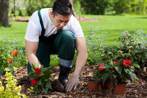 Professional gardeners completing a safe and organised garden service