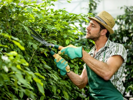 Customer responsibilities and service limits for garden care