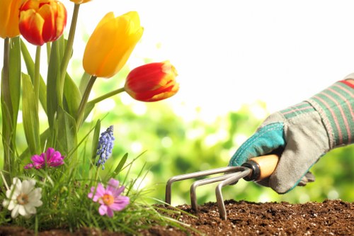 Free quote assessment for a Tottenham Green property garden
