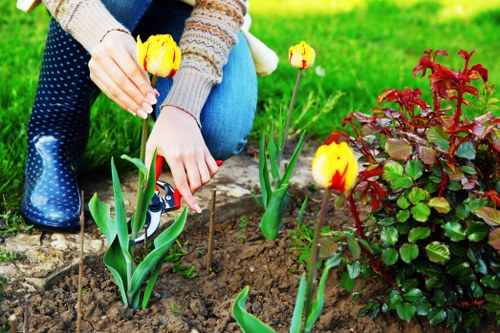 Local gardener maintaining plants and lawn in Tottenham Green