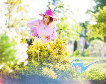 Local lawn maintenance for Tottenham Green outdoor space