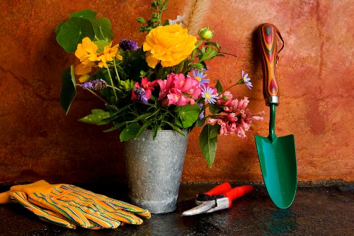 Governing law and contract terms for gardening services