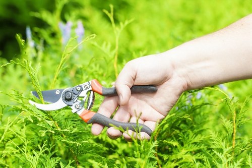 Safe and insured gardening service in Tottenham Green