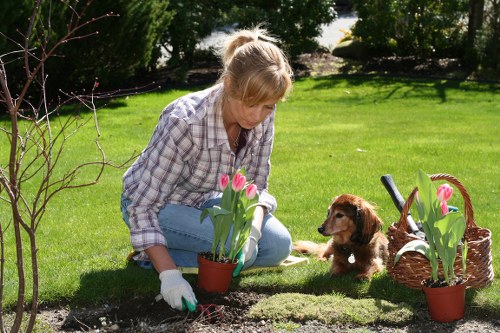 Professional garden maintenance in Tottenham Green with healthy plants and tidy borders