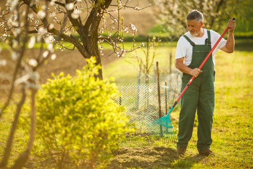 Lawn repair and upkeep service for Tottenham Green gardens