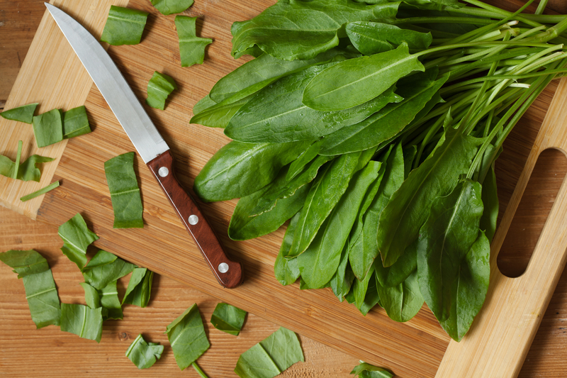 professional gardening Garden