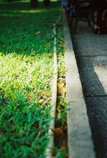A close-up view of a garden edging strip and a paved pathway in a park, highlighting the neatly maintained grass area with vibrant green blades and some fallen leaves. The soil adjacent to the edge ap