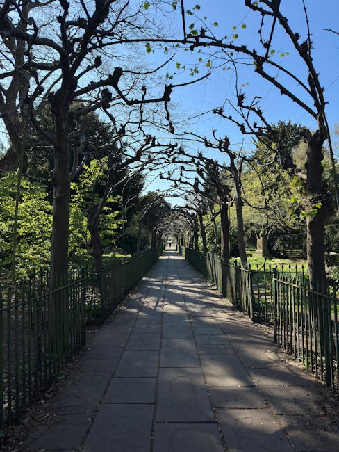 A straight pathway in a landscaped garden, lined with tall, leafless trees whose branches arch overhead to form a natural canopy. The pathway is paved with rectangular stone slabs, showing some shadow